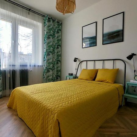 Przytulny Apartament Przy Sokolskiej - 550 Metrow Od Spodka 卡托维兹 外观 照片