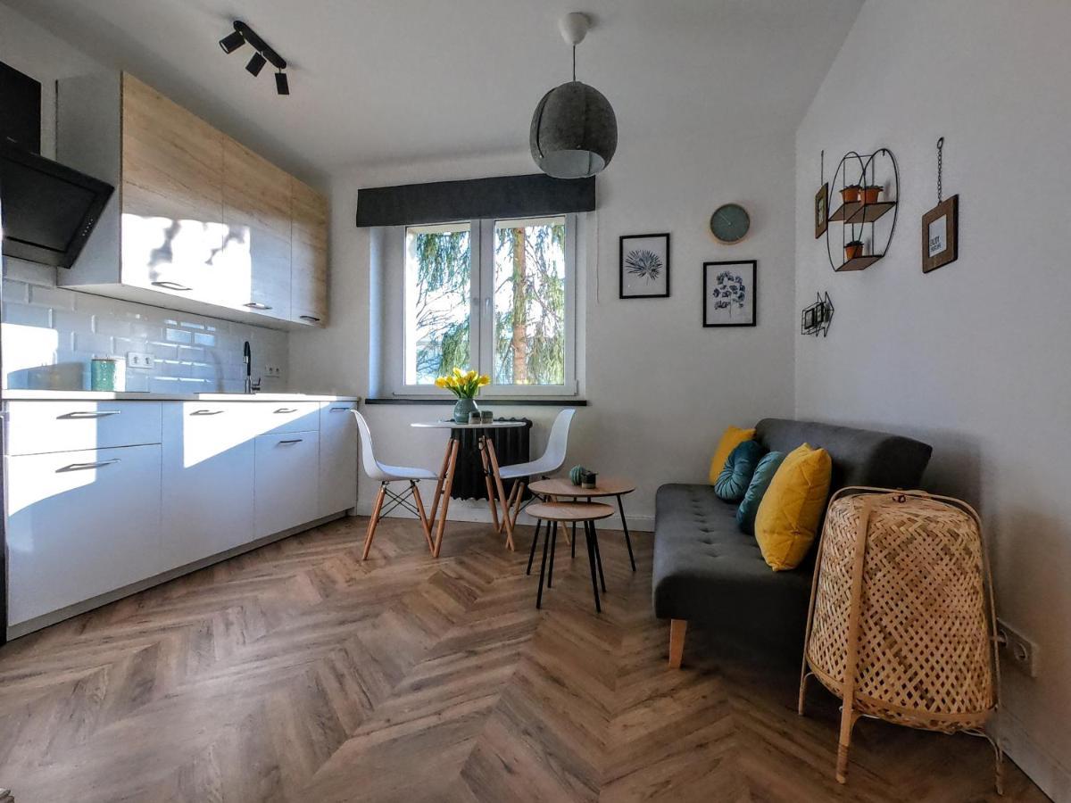 Przytulny Apartament Przy Sokolskiej - 550 Metrow Od Spodka 卡托维兹 外观 照片
